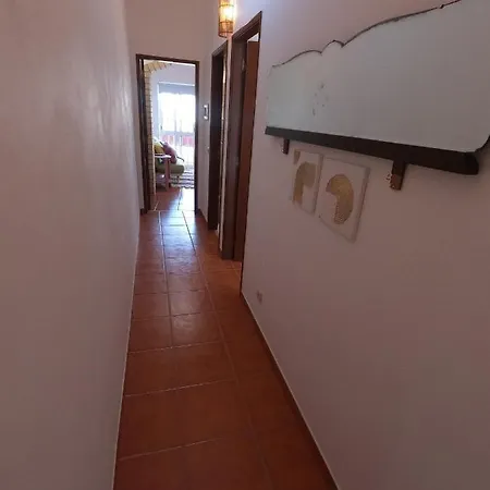 Algarve, Renovated T1 In S Bras De Alportel Lejlighed *